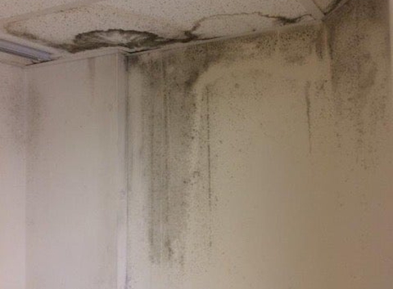 Servpro Of Westside/Orange Park - Orange Park, FL