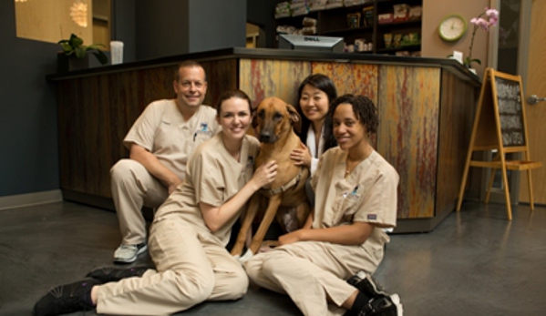 Hudson Animal Hospital - New York, NY