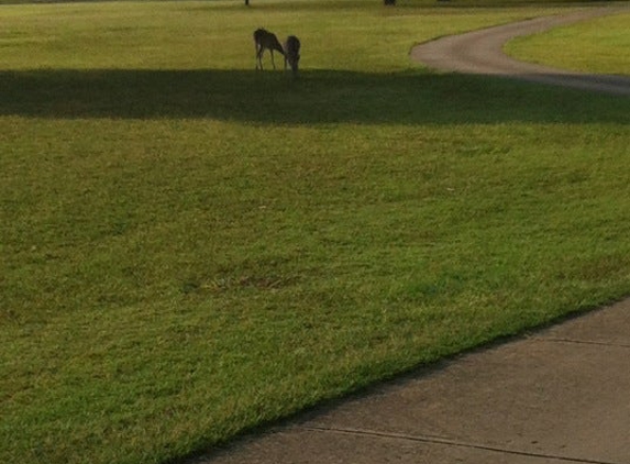 Landa Park Golf Course at Comal Springs - New Braunfels, TX