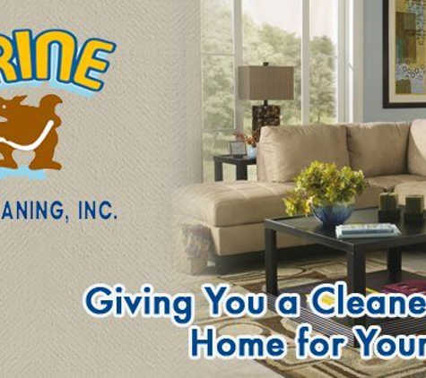 Wolverine Professional Carpet and Furniture Cleaning - Ann Arbor, MI