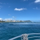 Dive Oahu