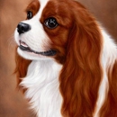 Classic Pet Portraits - Pet Services