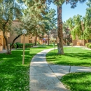 The Orchard on Gilbert - Apartment Finder & Rental Service