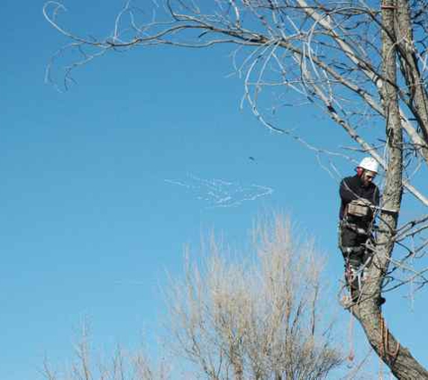 Emmons Tree Care - Pueblo, CO