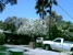 Lighthouse Gospel Tract Foundation - Foundations-Educational, Philanthropic, Research