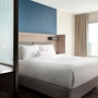 SpringHill Suites Tampa Suncoast Parkway