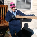 Fleetwood Pest Control - Pest Control Services