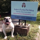 Amber's Purrfect Pet Sitting - Pet Boarding & Kennels