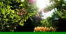 Greenway Chapel & Memorial Gardens - Cremation