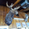 Sportsman's Hall gallery