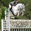 Forte Farm LLC - Horse Boarding