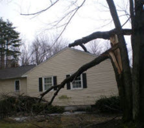 Sunrise Tree & Home Improvement - Southborough, MA