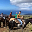 Triple L Ranch Maui Horseback Tours - Horse Rentals