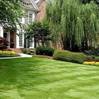 Bear Creek Lawn Services