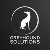 Greyhound Solutions gallery