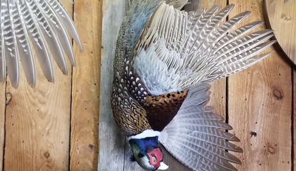 Verns Taxidermy - Algonquin, IL