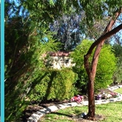 Gallery Image Number 1