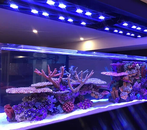 Keystone Reefscapes - Newtown Square, PA