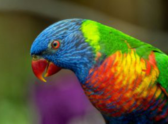 Care for Pets Veterinary Clinic