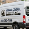 Animal Control & Removal Gilroy gallery