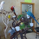 Tropic Island Bird And Supply - Birds & Bird Supplies