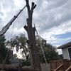 All Seasons Tree Service gallery