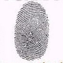 Landmark Fingerprinting - Employment Screening