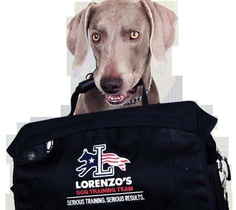 Lorenzo's Dog Training Team - Akron, OH
