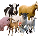 West Livestock - Livestock Buyers