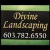 Divine Landscaping gallery