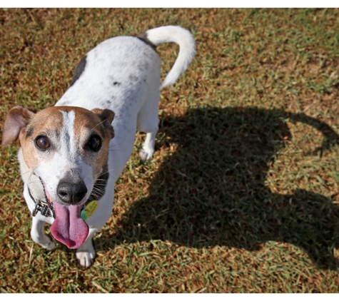 Peninsula Boarding Kennels - Moolap, VIC