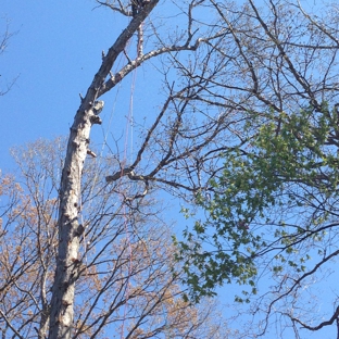 Barton's Tree Care LLC - Crofton, MD