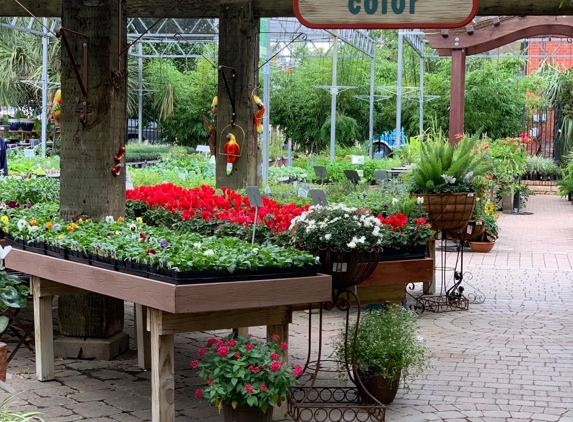 Shoal Creek Nursery - Austin, TX