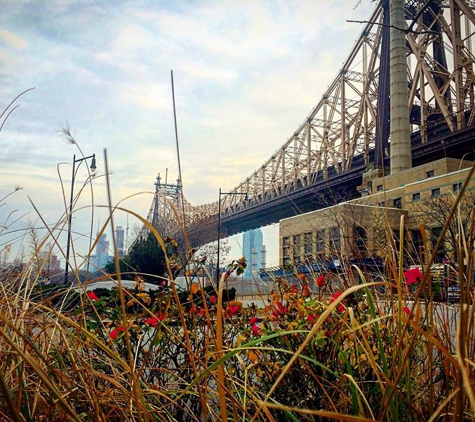 Beauty Salon of Roosevelt Island - New York, NY