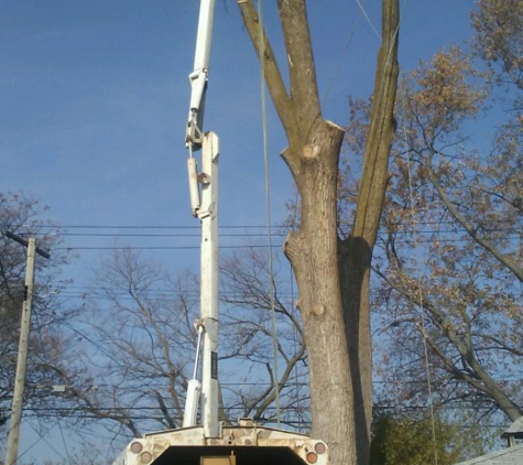 Budget Tree & Landscape - Fenton, MI. 1 of 3