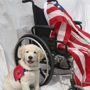 Patriot Service Dogs