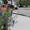 Flying U RV Park gallery