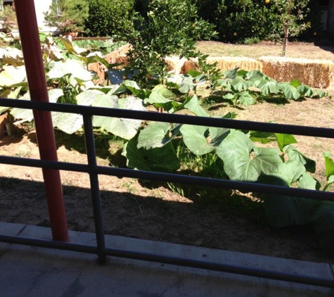 Field (Eugene) Elementary - Pasadena, CA