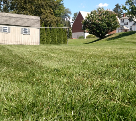 the Little Lawn Co. LLC - Altoona, PA