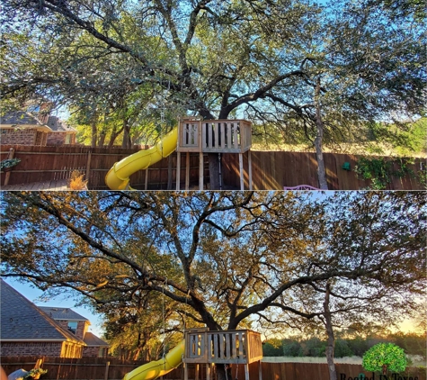 Rooted In Texas Tree Care