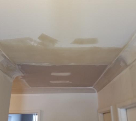 Darrell Murray Plastering - Avalon Beach, NSW. Smooth ceiling with no holes, matched cornice perfectly!