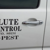 Absolute Pest Control gallery