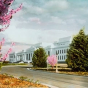 Gallery Image Number 4