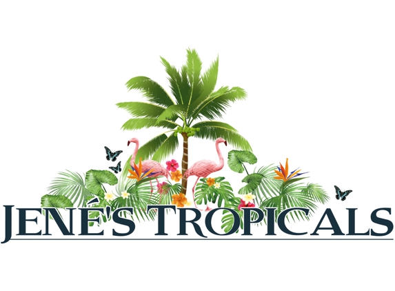 Jene's Tropical Fruit Trees - St Petersburg, FL