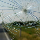 Quality Auto Glass - Auto Repair & Service