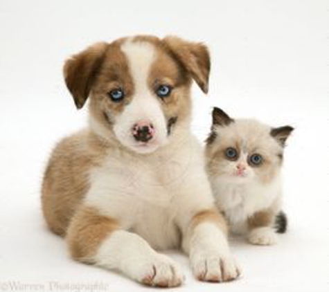 TLC Pet Care Centers - Cincinnati, OH