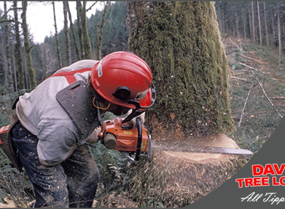Dave's Tree Lopping & All Green Waste Removals - Compton, SA. Cost-effective & Quality Workmanship