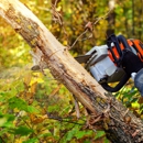 Palencia Landscaping and Tree Service Inc. - Tree Service