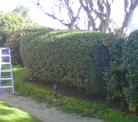 Lawn Services By Hiram - San Diego, CA