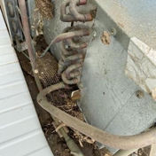 Gallery Image Number 4